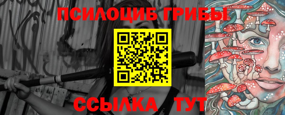 Галлюциногенные грибы прущие грибы  Вход с VPN  Нефтекумск 